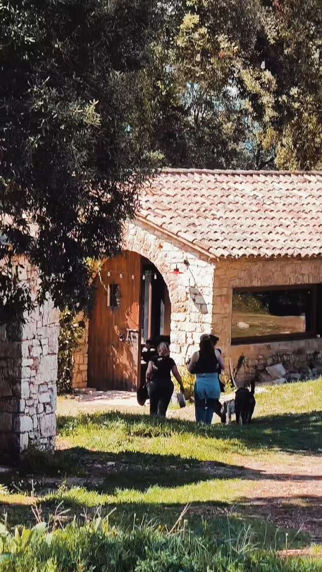 La entrada de piedra de la masía de Can Brull, con visitantes y perros entrando.