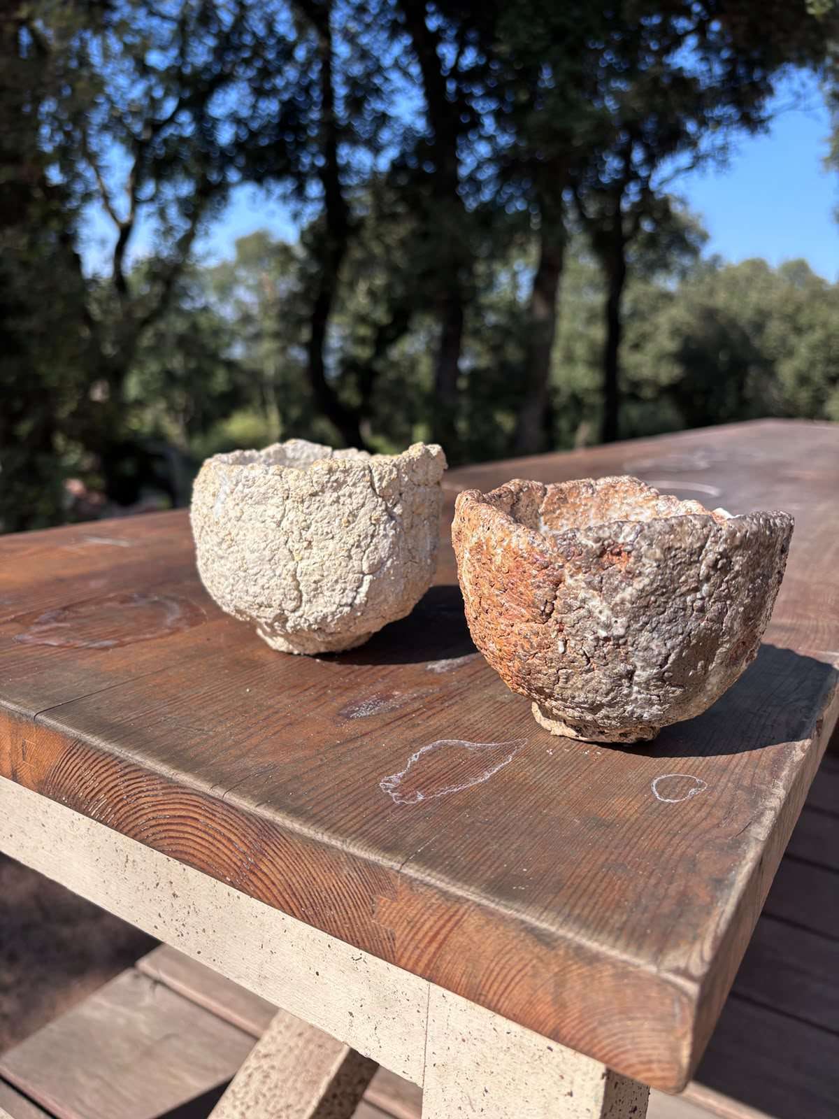 Two cups, rough ash